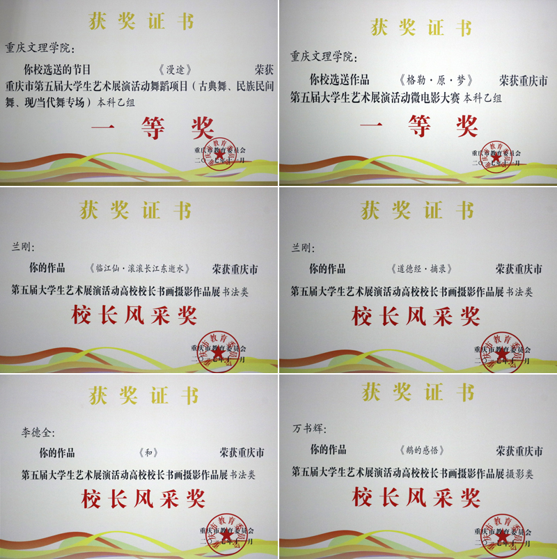 重慶市第五屆大學生藝術(shù)展演中取得豐碩成果