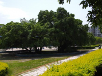 贛南師范學(xué)院科技學(xué)院2023年學(xué)費(fèi)、收費(fèi)多少