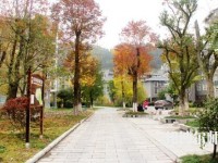 吉首師范大學(xué)張家界學(xué)院2023年學(xué)費(fèi)、收費(fèi)多少