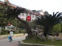 四川大學(xué)師范學(xué)院望江校區(qū)2023年學(xué)費(fèi)、收費(fèi)多少