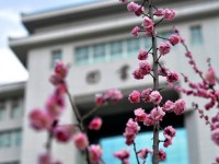 延安大學(xué)師范學(xué)院楊家?guī)X校區(qū)2023年學(xué)費(fèi)、收費(fèi)多少