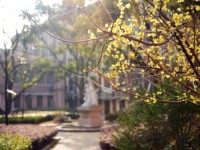 東華大學師范學院延安路校區(qū)2023年學費、收費多少