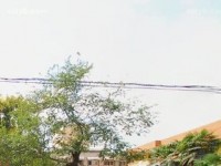 西安職業(yè)中等幼師專業(yè)學校2023年報名條件、招生要求、招生對象