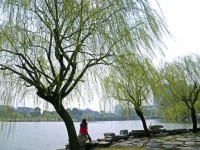金華職業(yè)技術師范學院2023年學費、收費多少