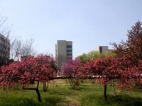 漯河職業(yè)技術(shù)師范學(xué)院2023年學(xué)費(fèi)、收費(fèi)多少