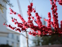 山東威海藝術(shù)幼兒師范學校2023年學費、收費多少