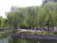 新鄉(xiāng)工程師范學(xué)院2023年學(xué)費(fèi)、收費(fèi)多少
