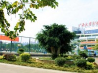 廣西大學(xué)行健文理師范學(xué)院2023年學(xué)費(fèi)、收費(fèi)多少