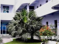 四川信息工程幼兒師范學(xué)校2023年報(bào)名條件、招生要求、招生對象