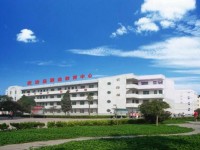 武功職業(yè)教育幼兒師范中心2023年招生錄取分數線