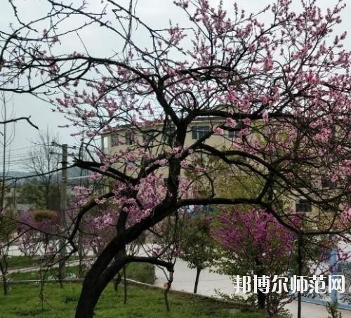 貴陽中華幼師職業(yè)學(xué)校2023年怎么樣、好不好