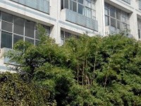 貴州貴陽中山科技幼兒師范學校2023年學費、收費多少