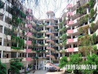 合江少岷幼兒師范職業(yè)技術(shù)學(xué)校2023年怎么樣、好不好
