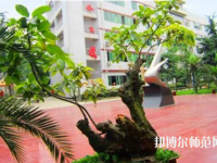 成都實(shí)驗(yàn)商貿(mào)幼兒師范管理學(xué)校2023年招生辦聯(lián)系電話(huà)