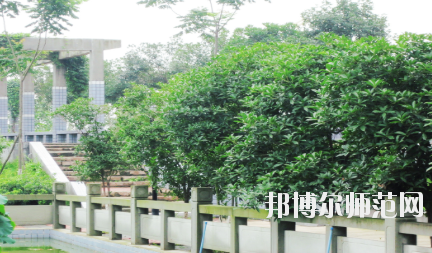 德陽通用電子科技幼兒師范學(xué)校2020年報(bào)名條件、招生要求、招生對(duì)象