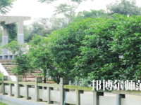德陽通用電子科技幼兒師范學(xué)校2021年報名條件、招生要求、招生對象