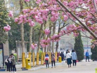 石家莊法商幼兒師范中等專業(yè)學(xué)校2023年學(xué)費(fèi)、收費(fèi)多少