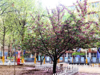 石家莊法商幼兒師范中等專業(yè)學(xué)校2023年報(bào)名條件、招生要求、招生對象