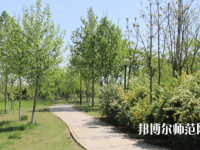 石家莊中英航空幼兒師范中等專業(yè)學校2023年怎么樣、好不好