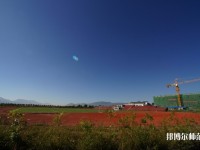 云南2020年初中生有哪些幼師學(xué)校？