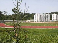 四川幼兒師范高等?？茖W校2023年招生簡章