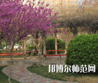 鄭州2020年幼師學(xué)?？梢詫W(xué)什么