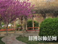 鄭州2020年幼師學?？梢詫W什么