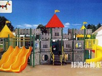 十堰2020年幼師學(xué)校最好的大專(zhuān)院校有哪些
