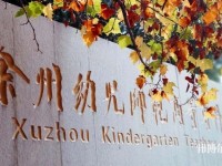 徐州幼兒師范高等專科學校有哪些專業(yè)