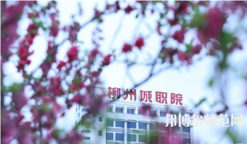 柳州城市職業(yè)師范學(xué)院怎么樣、好不好