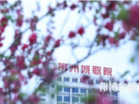 柳州城市職業(yè)師范學院2023年怎么樣、好不好