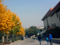 西北師范大學(xué)2023年學(xué)費(fèi)、收費(fèi)多少