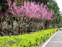 大同師范高等?？茖W(xué)校2023年招生錄取分?jǐn)?shù)線