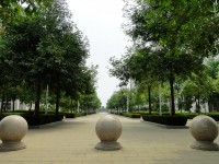廣西現(xiàn)代職業(yè)技術(shù)師范學(xué)院2023年報(bào)名條件、招生要求、招生對象