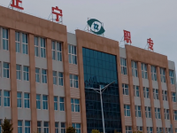 正寧職業(yè)技術(shù)幼兒師范中學2023年有哪些專業(yè)