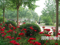 河南科技職業(yè)師范大學(xué)2023年報(bào)名條件、招生要求、招生對象
