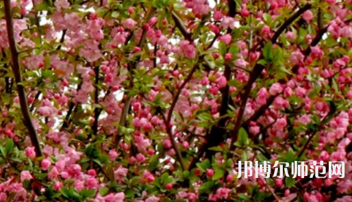 鄭州大學(xué)師范學(xué)院南校區(qū)2023年怎么樣、好不好