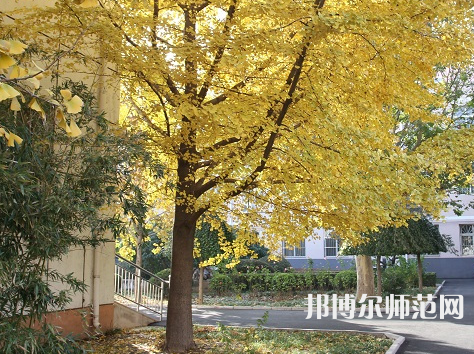 北京京北職業(yè)師范技術(shù)學(xué)院2023年報(bào)名條件、招生要求、招生對(duì)象