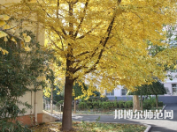 北京京北職業(yè)師范技術(shù)學(xué)院2023年報名條件、招生要求、招生對象