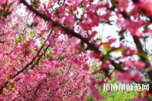 鄭州大學(xué)師范學(xué)院主校區(qū)2023年報名條件、招生要求、招生對象