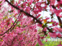 鄭州大學(xué)師范學(xué)院主校區(qū)2023年報(bào)名條件、招生要求、招生對(duì)象