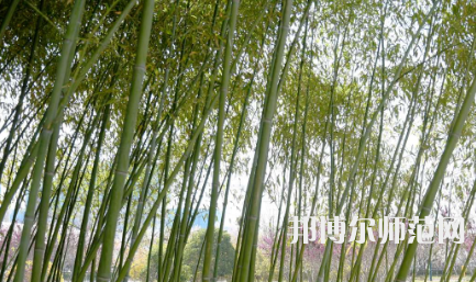 周口職業(yè)技術(shù)師范學(xué)院開元校區(qū)2023年報(bào)名條件、招生要求、招生對(duì)象