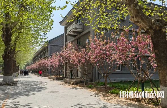 中國(guó)傳媒師范大學(xué)2023年報(bào)名條件、招生要求、招生對(duì)象 