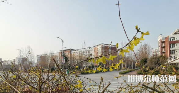 鶴壁職業(yè)技術(shù)師范學(xué)院2023年報(bào)名條件、招生要求、招生對(duì)象