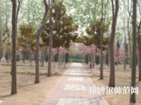 濮陽職業(yè)技術(shù)師范學(xué)院2023年報名條件、招生要求、招生對象