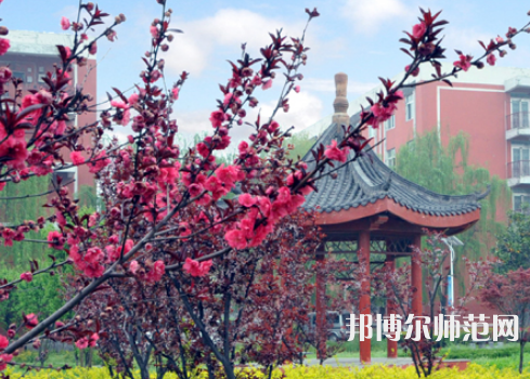 駐馬店師范職業(yè)技術(shù)學(xué)院2023年報(bào)名條件、招生要求、招生對象