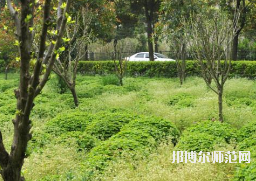 駐馬店師范職業(yè)技術(shù)學(xué)院2023年報(bào)名條件、招生要求、招生對象