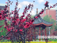 駐馬店師范職業(yè)技術(shù)學(xué)院2023年報名條件、招生要求、招生對象