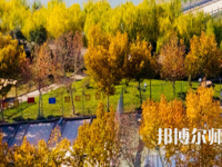 河南理工師范大學(xué)北校區(qū)2023年報名條件、招生要求、招生對象
