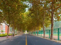 聊城師范大學(xué)東昌學(xué)院2023年報名條件、招生要求、招生對象